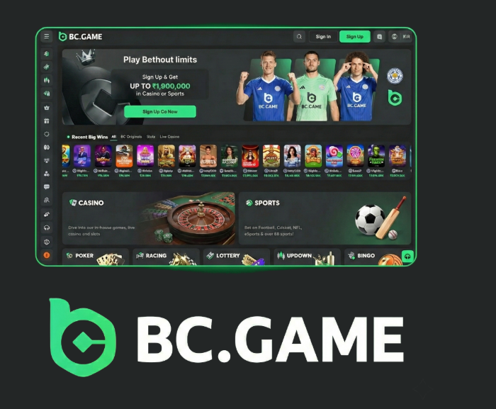 Comprehensive BC.Game Bonus Guide Maximize Your Winnings